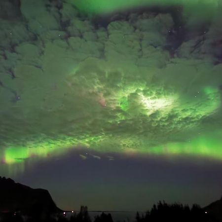 Appartement Rystad Midnight Sun And Nature Extérieur photo