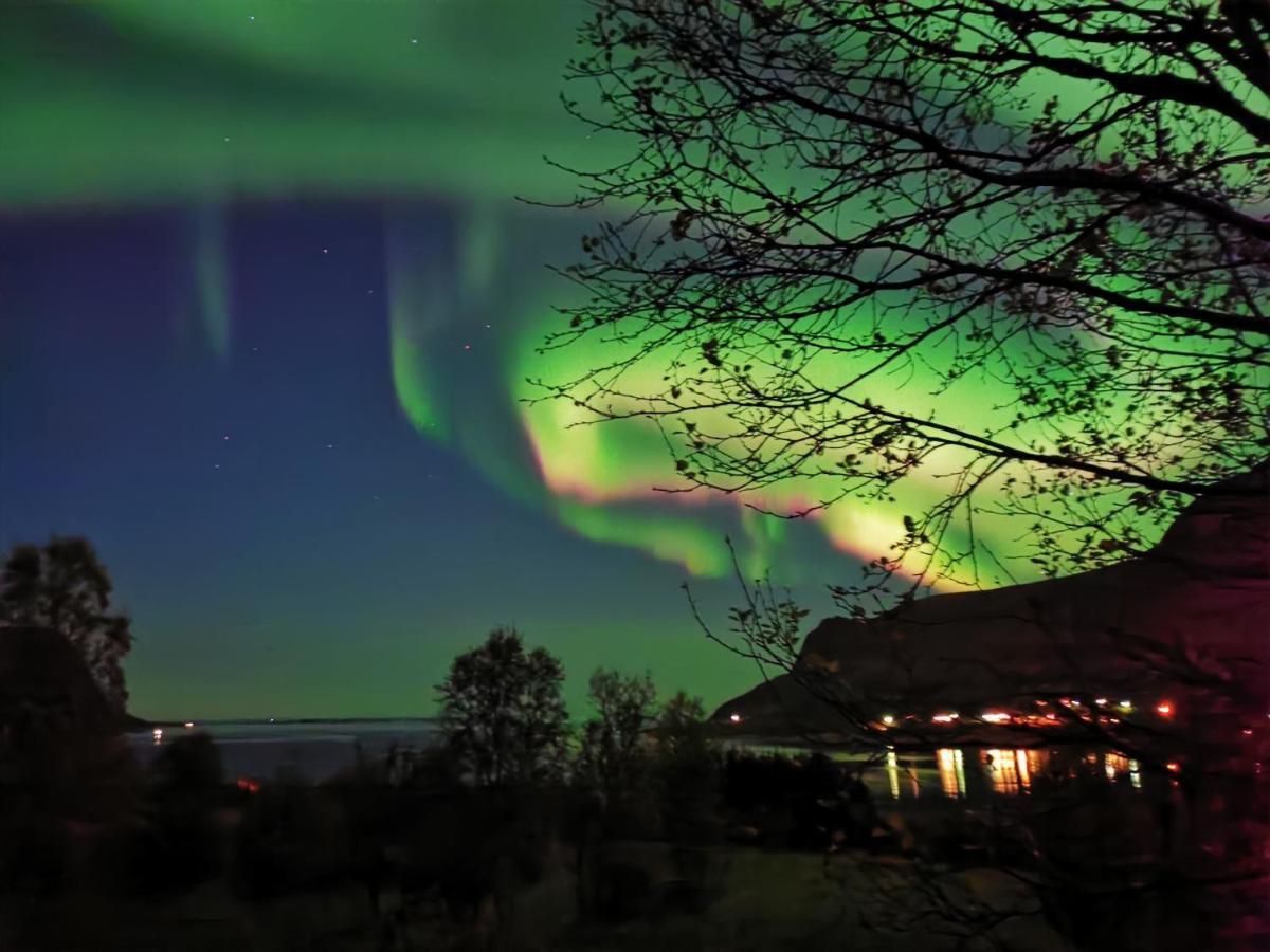 Appartement Rystad Midnight Sun And Nature Extérieur photo